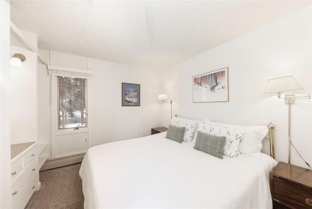 1173 Ski Hill Rd Unit 131, Breckenridge, CO 80424 - carpeted bedroom featuring a baseboard heating unit