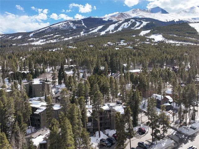 1173 Ski Hill Rd Unit 131, Breckenridge, CO 80424 - mountain view with a heavily wooded area