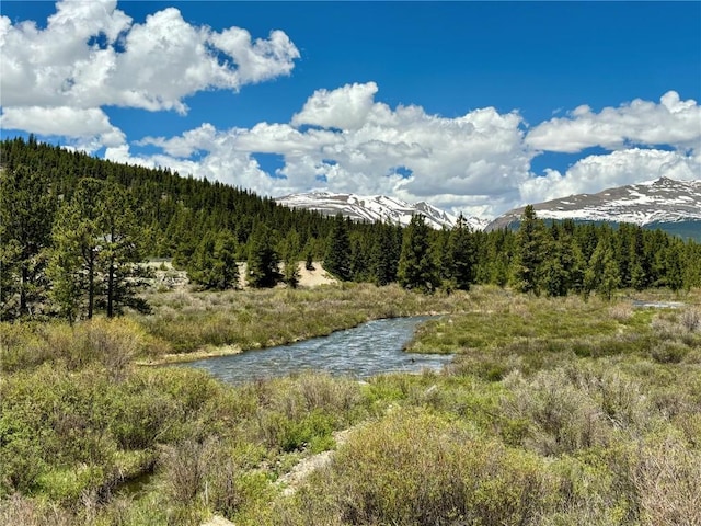 700 Cottage Grove Rd, Alma, CO 80420 - photo 27