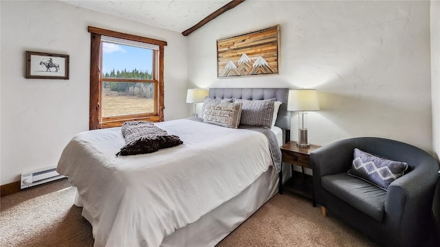 700 Cottage Grove Rd, Alma, CO 80420 - photo 46