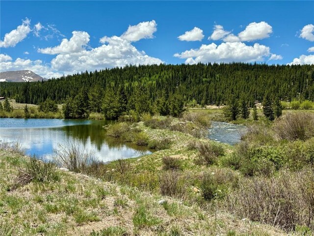 700 Cottage Grove Rd, Alma, CO 80420 - photo 3