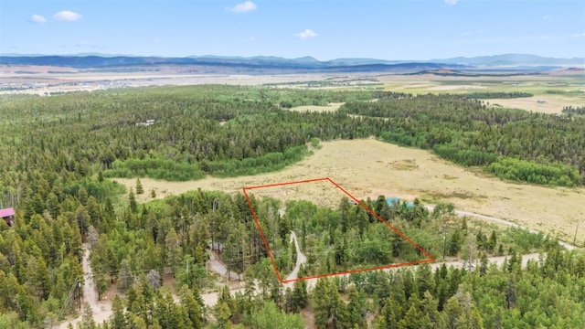 212 Wheat Way, Fairplay, CO 80440 - photo 8