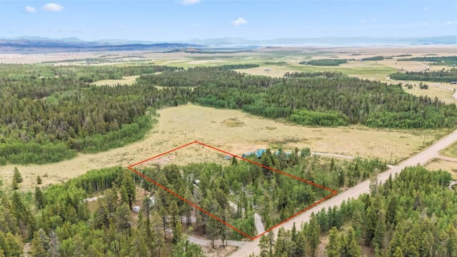 212 Wheat Way, Fairplay, CO 80440 - photo 9