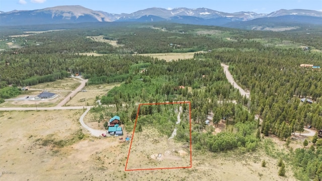 212 Wheat Way, Fairplay, CO 80440 - photo 3