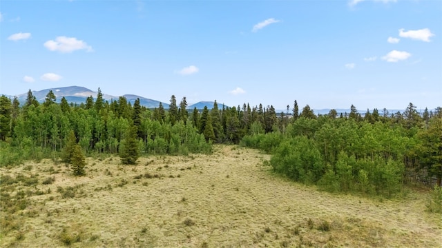 212 Wheat Way, Fairplay, CO 80440 - photo 14