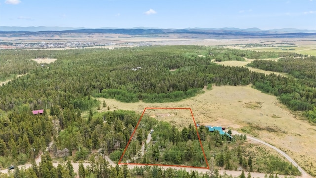 212 Wheat Way, Fairplay, CO 80440 - photo 7