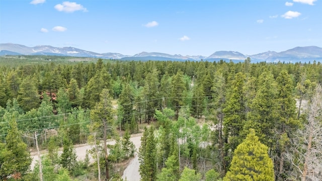 212 Wheat Way, Fairplay, CO 80440 - photo 15