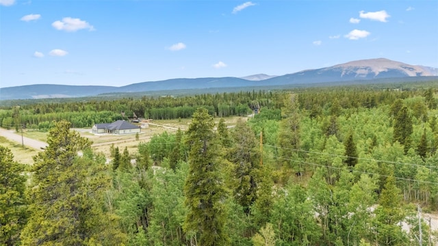 212 Wheat Way, Fairplay, CO 80440 - photo 16