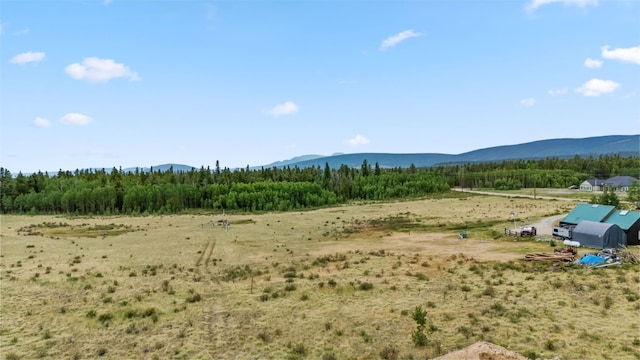 212 Wheat Way, Fairplay, CO 80440 - photo 12