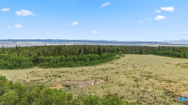 212 Wheat Way, Fairplay, CO 80440 - photo 17