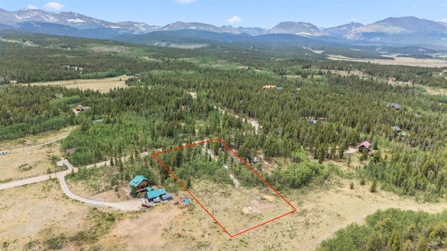 212 Wheat Way, Fairplay, CO 80440 - photo 4