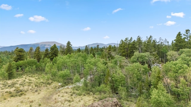 212 Wheat Way, Fairplay, CO 80440 - photo 11