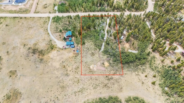 212 Wheat Way, Fairplay, CO 80440 - photo 1