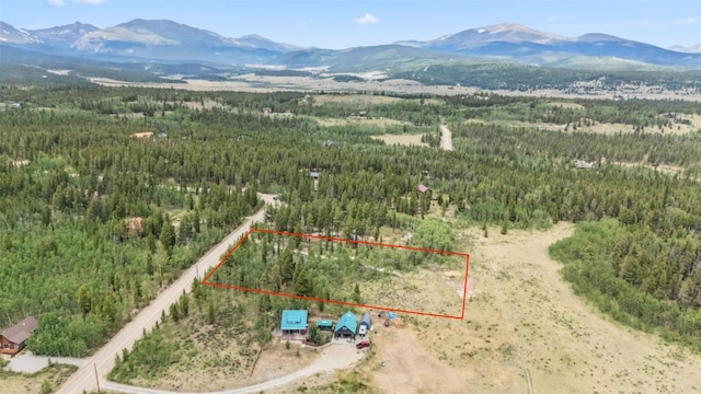 212 Wheat Way, Fairplay, CO 80440 - photo 2