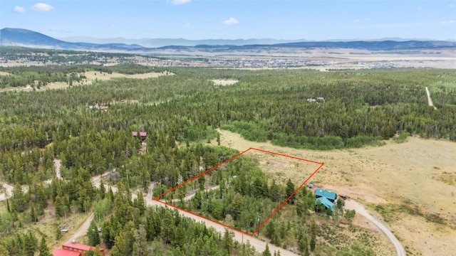 212 Wheat Way, Fairplay, CO 80440 - photo 6