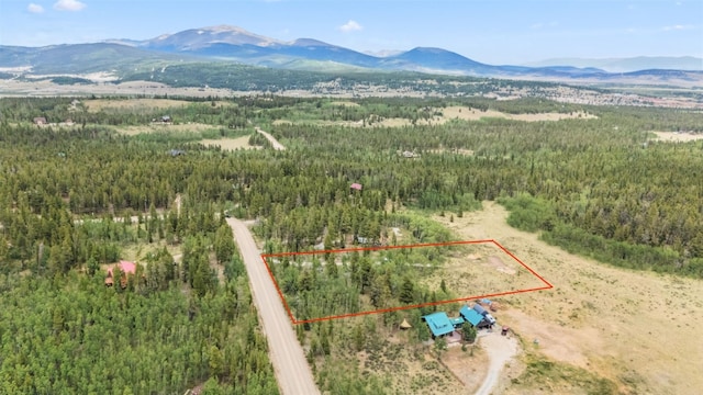 212 Wheat Way, Fairplay, CO 80440 - photo 5