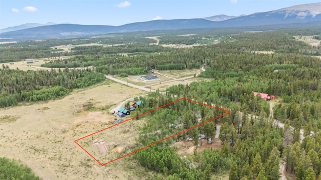 212 Wheat Way, Fairplay, CO 80440 - photo 10