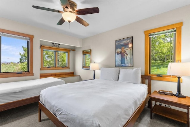 2350 Ski Trail Ln Unit 313, Steamboat Springs, CO 80487 - bedroom with carpet and ceiling fan