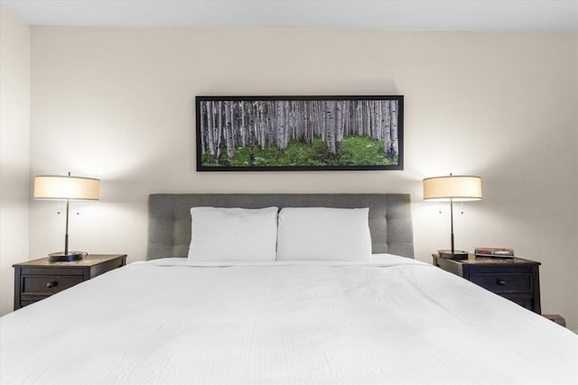 2350 Ski Trail Ln Unit 313, Steamboat Springs, CO 80487 - view of bedroom