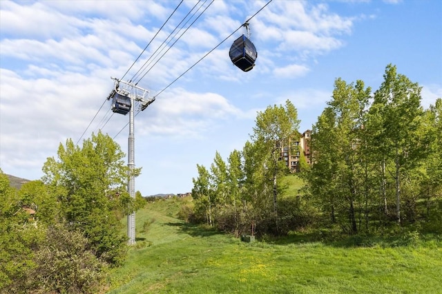 2350 Ski Trail Ln Unit 313, Steamboat Springs, CO 80487 - view of yard