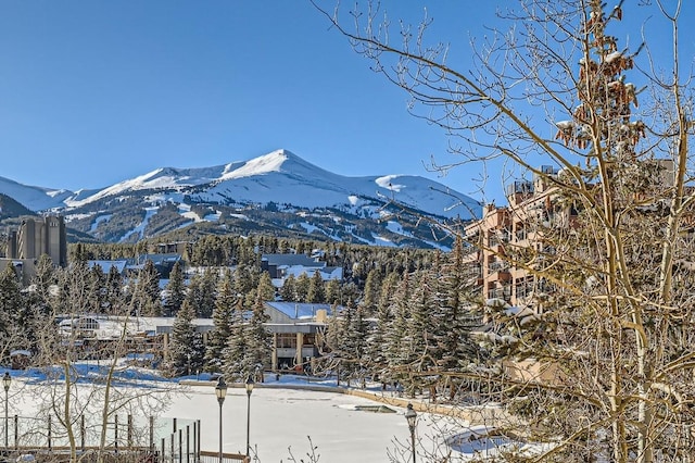 505 S Main St Unit 1313, Breckenridge, CO 80424 - mountain view