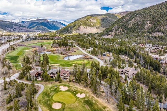 96 Elk Crossing Ln, Keystone, CO 80435 - photo 4
