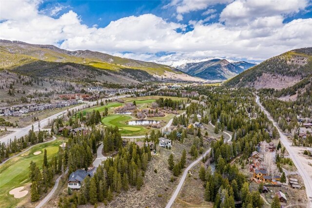 96 Elk Crossing Ln, Keystone, CO 80435 - photo 14