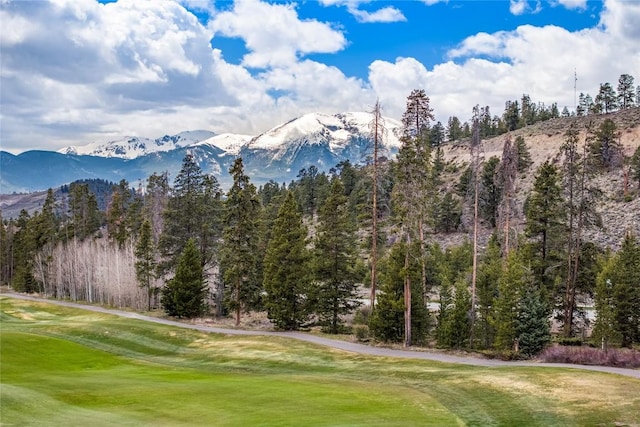 96 Elk Crossing Ln, Keystone, CO 80435 - photo 21