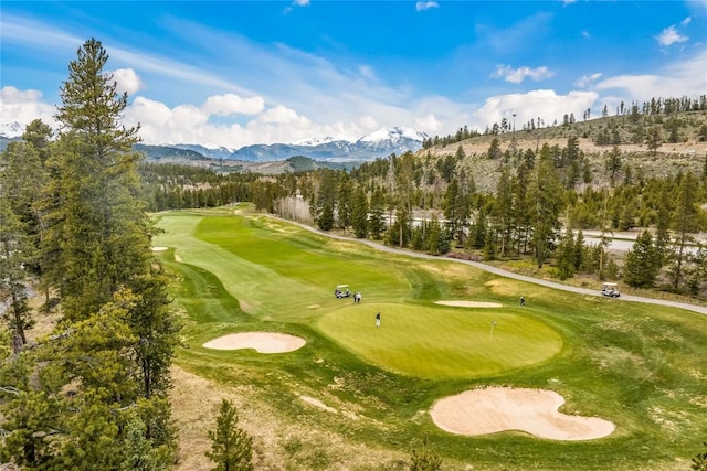 96 Elk Crossing Ln, Keystone, CO 80435 - photo 19