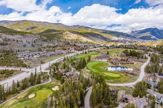 96 Elk Crossing Ln, Keystone, CO 80435 - photo 9