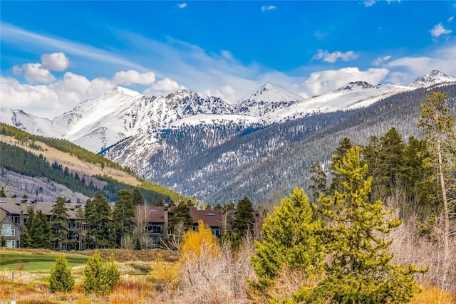 96 Elk Crossing Ln, Keystone, CO 80435 - photo 6
