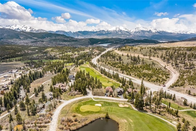 96 Elk Crossing Ln, Keystone, CO 80435 - photo 10
