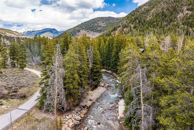 96 Elk Crossing Ln, Keystone, CO 80435 - photo 15