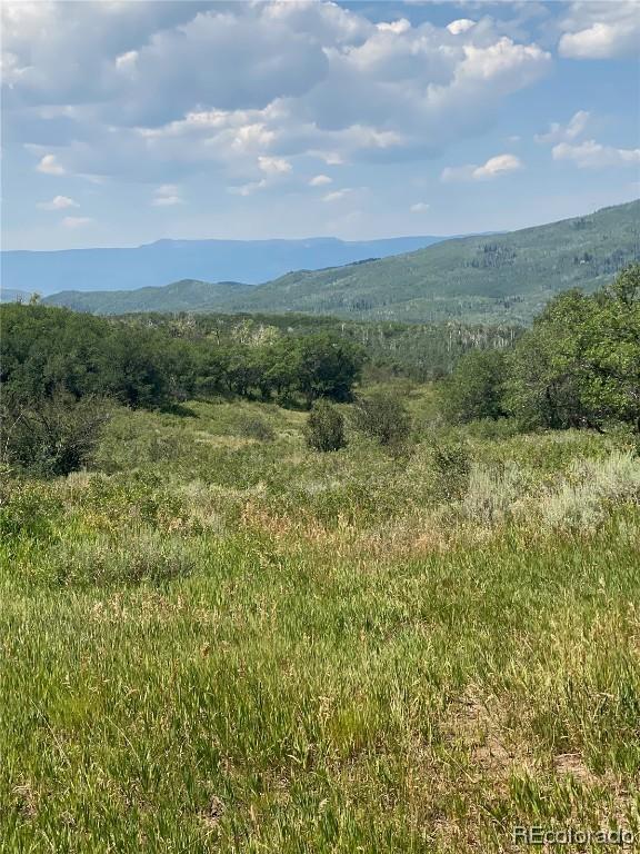 27165 Sundance Trl, Steamboat Springs, CO 80477