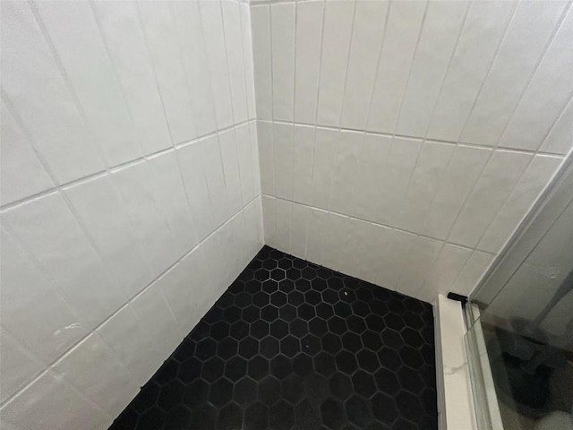 1325 Dream Island Plz Unit 55, Steamboat Springs, CO 80487 - bathroom view of tiled shower