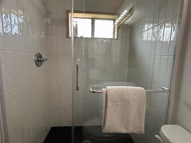 1325 Dream Island Plz Unit 55, Steamboat Springs, CO 80487 - full bath featuring a stall shower