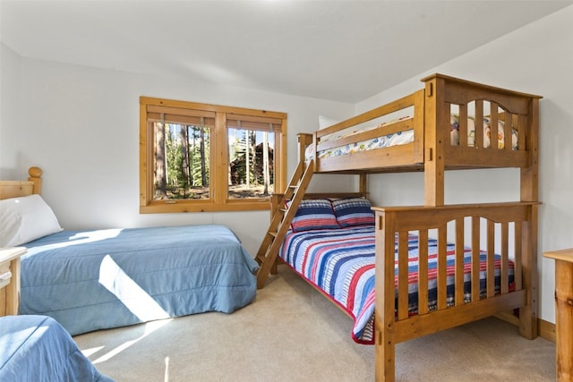 89 Sunbeam Dr, Breckenridge, CO 80424 - photo 29