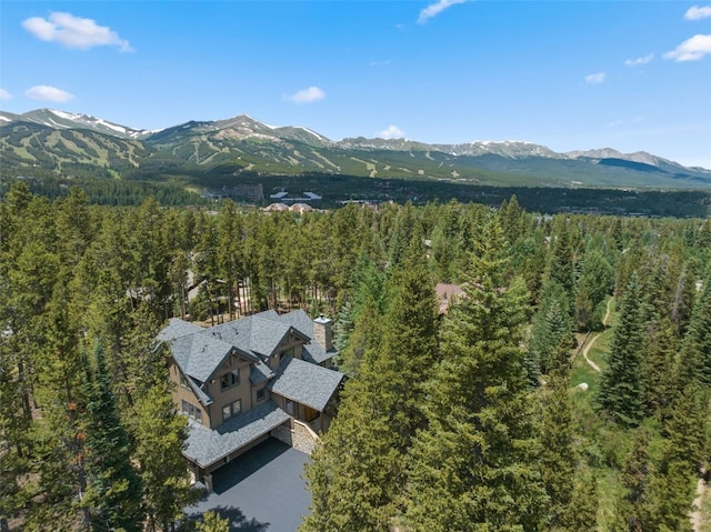 89 Sunbeam Dr, Breckenridge, CO 80424 - photo 46