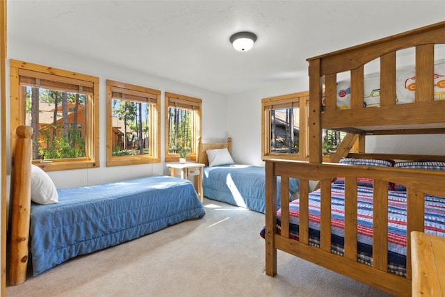 89 Sunbeam Dr, Breckenridge, CO 80424 - photo 28
