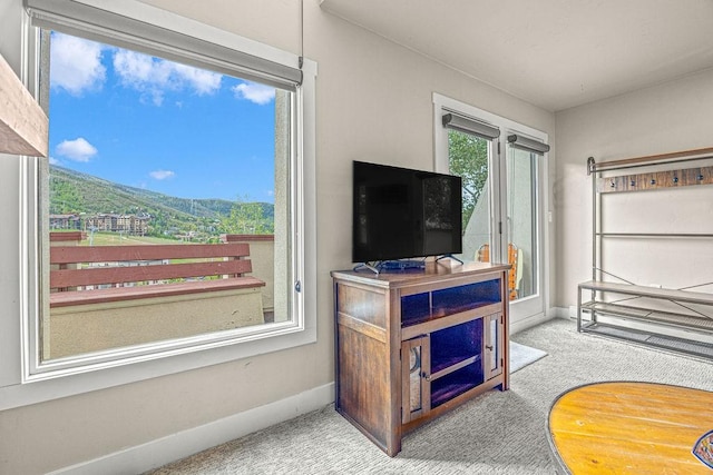 1800 Burgess Creek Rd SW Unit 209, Steamboat Springs, CO 80487 - bedroom with carpet floors and baseboards