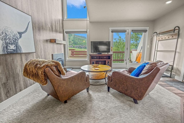 1800 Burgess Creek Rd SW Unit 209, Steamboat Springs, CO 80487 - living room featuring recessed lighting