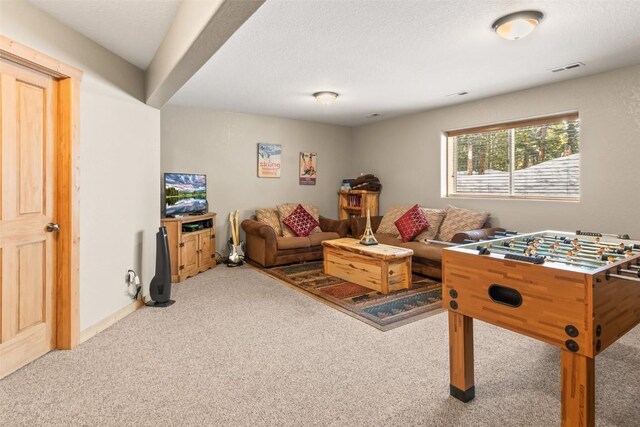 407 S Puma Pl, Fairplay, CO 80440 - recreation room with visible vents and carpet
