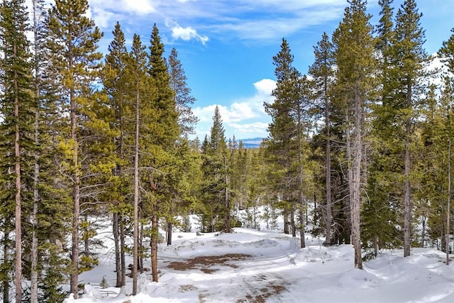 407 S Puma Pl, Fairplay, CO 80440 - snowy view featuring a wooded view