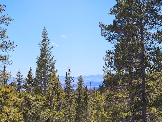 407 S Puma Pl, Fairplay, CO 80440 - view of mountain feature with a forest view