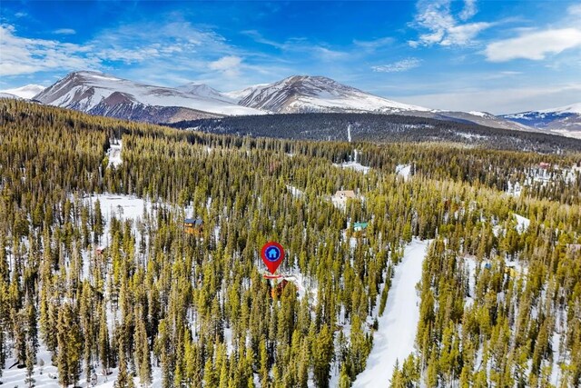 407 S Puma Pl, Fairplay, CO 80440 - mountain view with a forest view