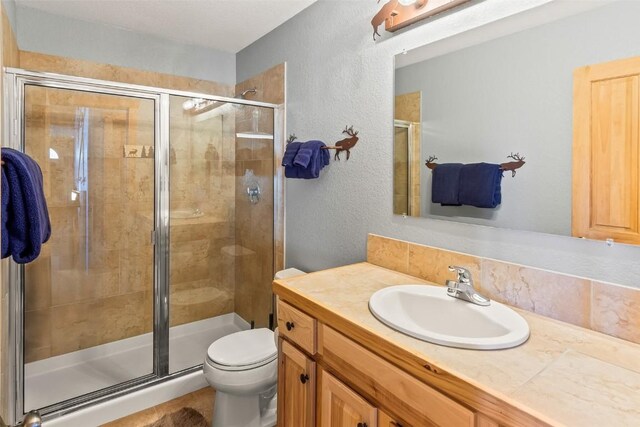 407 S Puma Pl, Fairplay, CO 80440 - bathroom with a shower stall, toilet, vanity, and a textured wall