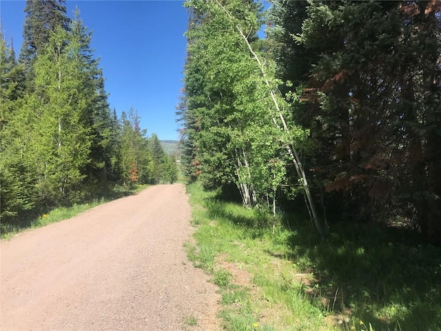 33454 Tewa Way, Oak Creek, CO 80467 - photo 2