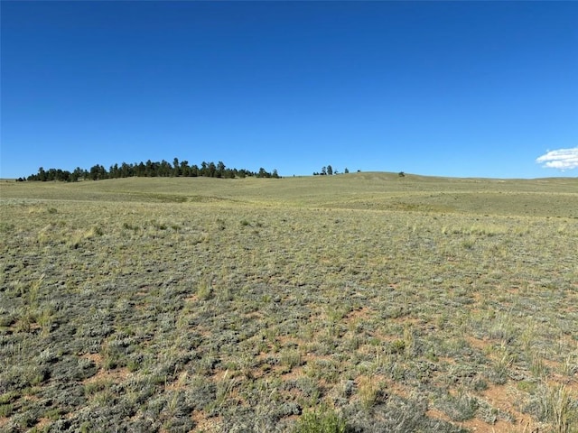 00 Sierra Ln, Hartsel, CO 80449
