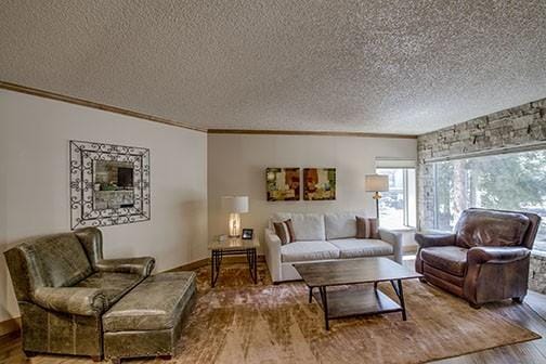 765 Columbine Rd Unit C103, Breckenridge, CO 80424 - living area with a textured ceiling, ornamental molding, and wood finished floors