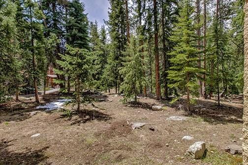 765 Columbine Rd Unit C103, Breckenridge, CO 80424 - view of wooded area